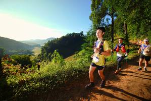 BIB: 
                            <button type="button" onclick="openModal(19173955)" class="btn btn-primary btn-sm float-right btn-popup" data-toggle="modal" data-target=".modal-high-quality">
                        <i class="fas fa-shopping-cart"></i> Add to Cart
                    </button>
                                            <button type="button" onclick="isThisMe(19173955, true)" class="btn btn-success btn-sm float-right btn-popup btn-isme hidden" data-toggle="tooltip" data-placement="bottom" title="นี่คือรูปของคุณใช่ไหม คลิกที่นี่เพื่อเอาเข้าอัลบั้ม">
                        <i class="fas fa-plus"></i> Add to album
                    </button>
                    <button type="button" onclick="isThisMe(19173955, false)" class="btn btn-warning btn-sm float-right btn-popup btn-isnotme hidden">
                        <i class="fas fa-ban"></i> Remove from album
                    </button>